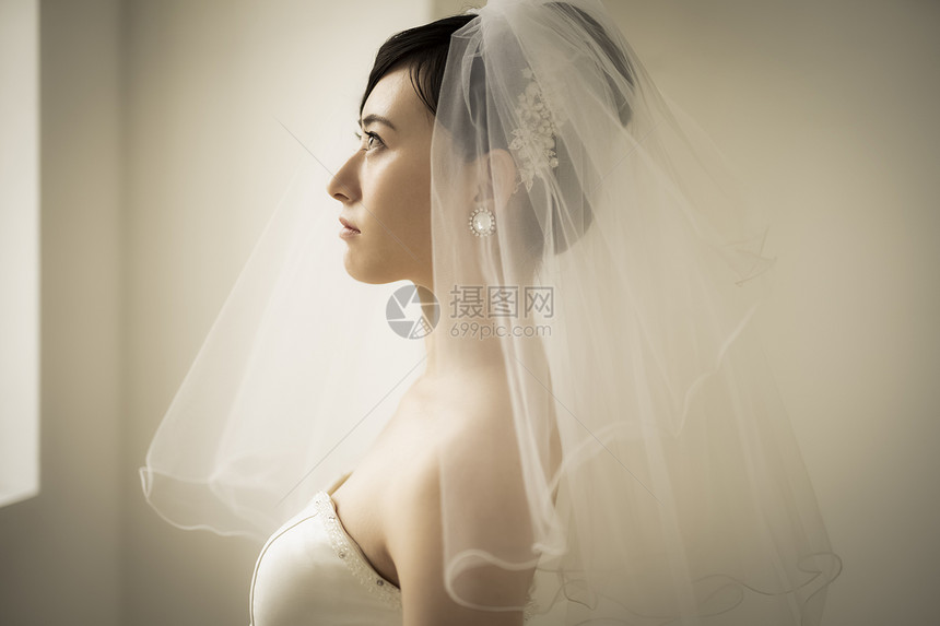 佩戴头纱的新娘图片