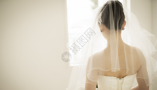佩戴头纱的新娘背影图片
