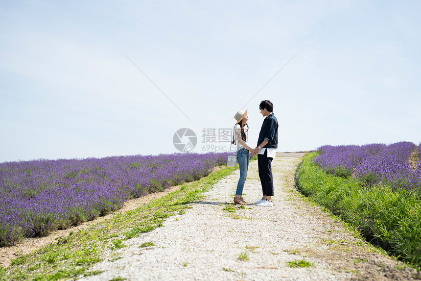 薰衣草花田约会的情侣图片