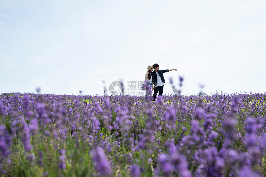 年轻情侣花田旅行图片