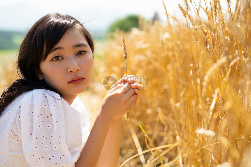 麦田里的美女图片