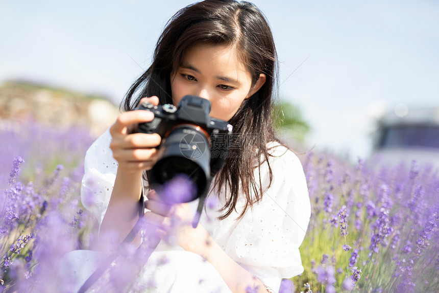 摄影机摄影花卉花田和妇女画象图片