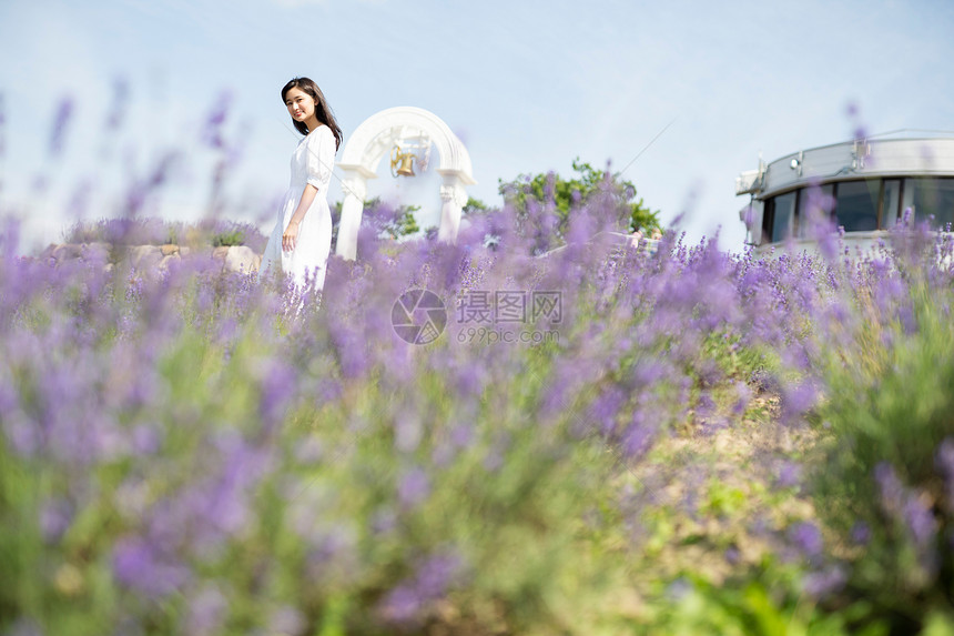 开花草本的留白花田和妇女画象图片