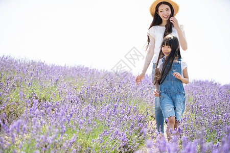 散步快乐二十几岁花田和家庭图片