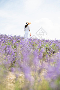 户外美丽后背花田的妇女画象图片