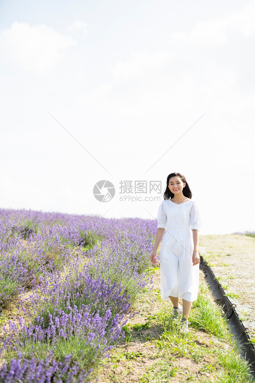 在花田里散步的女人图片