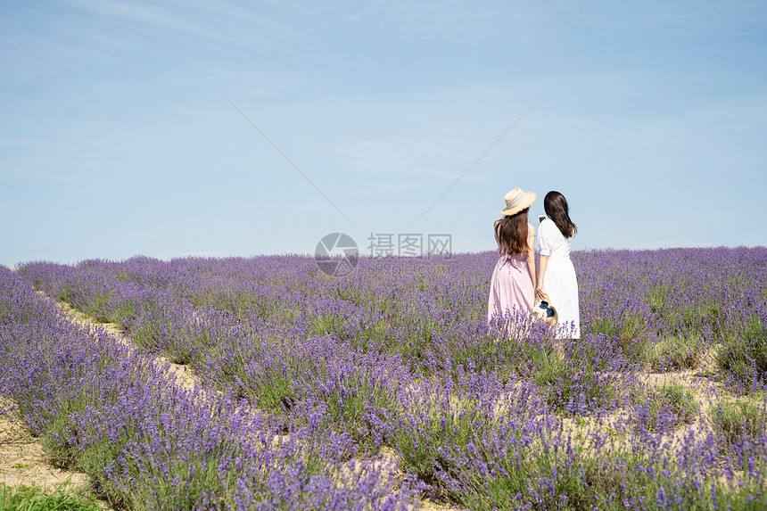 游览二十几岁复制空间花田和妇女画象图片