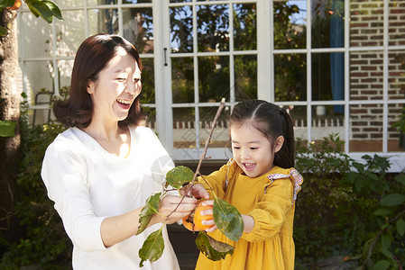 女孩和柿子陪伴女儿的母亲背景