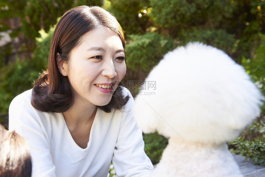 打破动物选择聚焦生活女人成年人狗韩国人图片