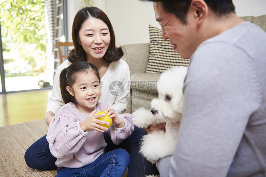 室内养宠物温馨幸福的一家人图片