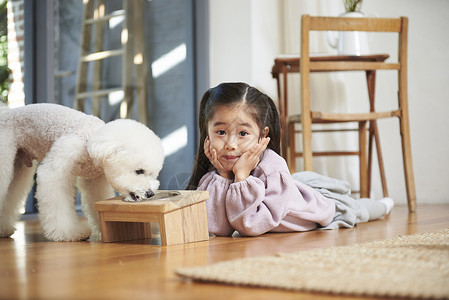 家里照顾宠物狗的小女孩图片