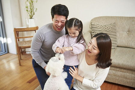 室内跟宠物狗玩幸福的一家人图片