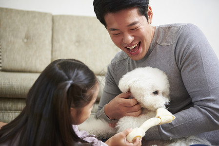 室内可爱宠物狗的一家人快乐生活图片