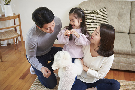 一家人坐在客厅的地毯上陪宠物狗玩耍图片