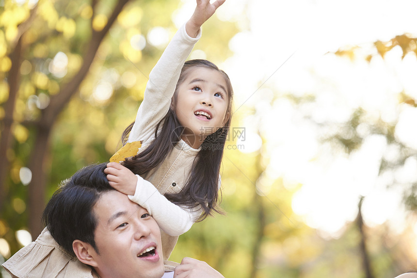 一家人在公园秋游图片