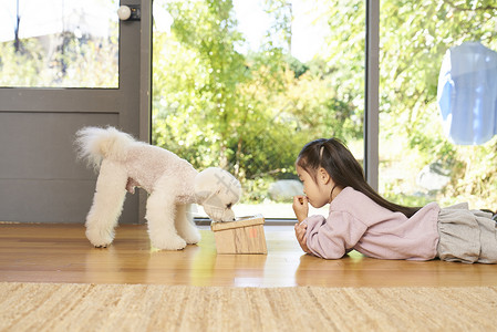 小女孩观察狗狗吃饭图片