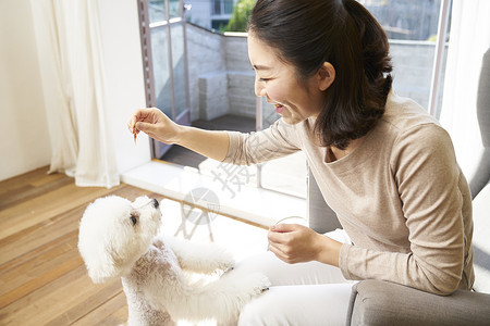 女人与小狗图片