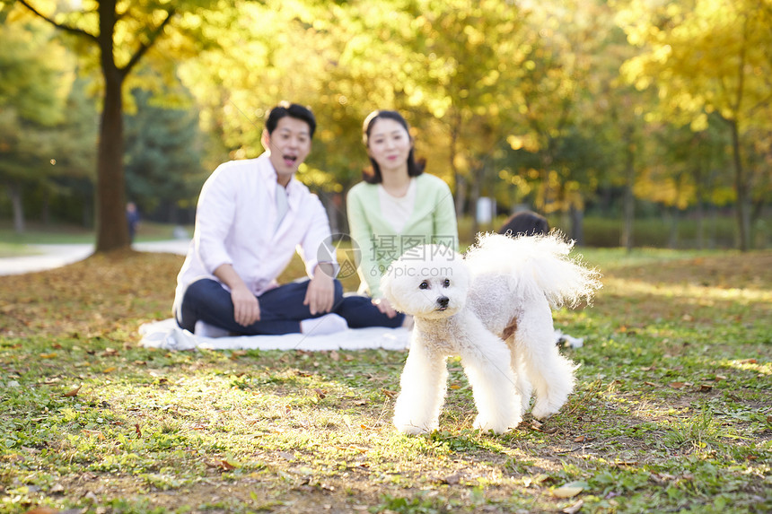 笑树生活家庭夫妻韩国人图片