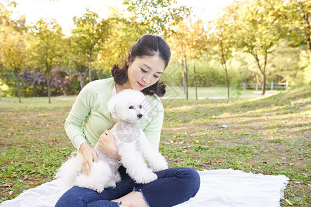 宠物动物学的评价生活女人成年人狗韩国人图片