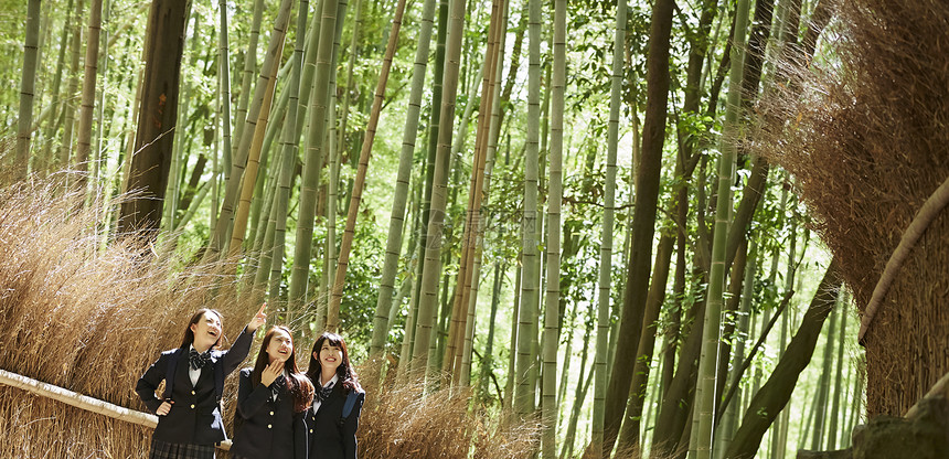 三个高中女生站在竹林小径里聊天图片