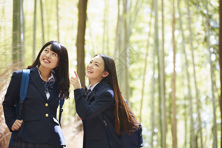 竹林路两个高中女孩在竹林中游玩背景