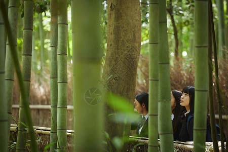 丛林里的女孩三名高中女孩在竹林里游玩背景