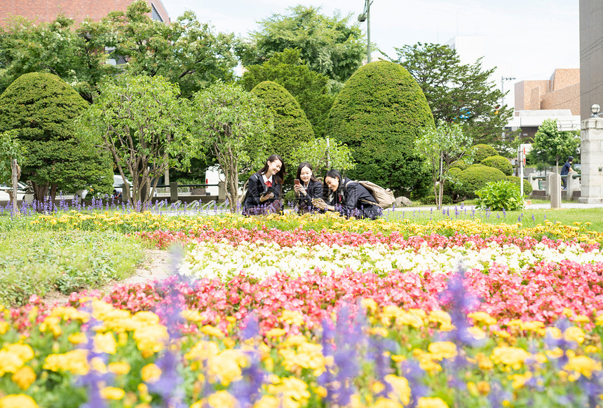 优良花坛旅游女学生札幌学校旅行札幌市博物馆图片