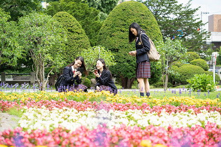 坐着花床能源女学生札幌学校旅行札幌市博物馆图片