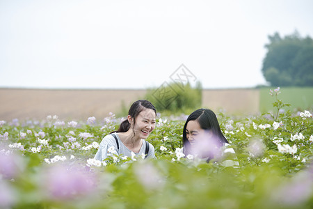 旅途自然能量妇女北海道花园图片