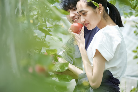 笑容香薰学生男人和女人耕种房子耕种图片