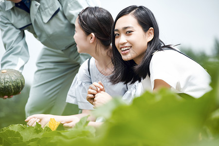 收获女孩三人女子农场之旅背景