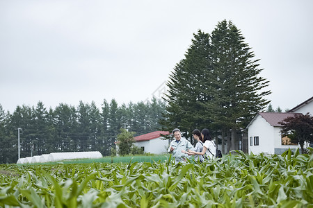 参观菜田地的女子的农场之旅图片