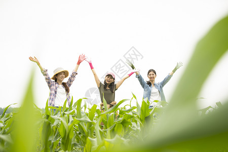 农业体验干净二十几岁女农业伴侣图片