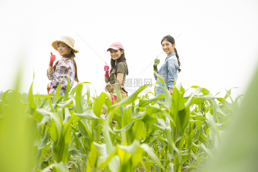 商务自给自足农民女农业肖像图片