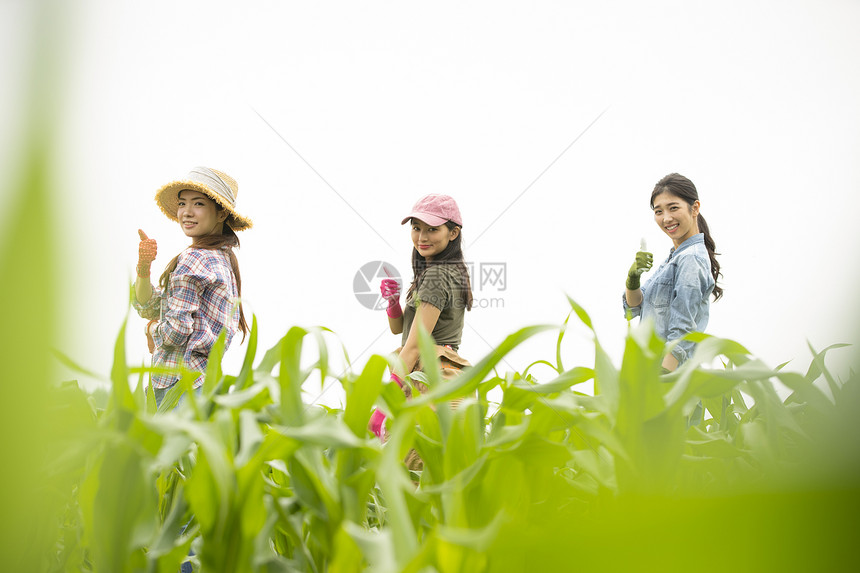 女生商界女可爱女农业肖像图片