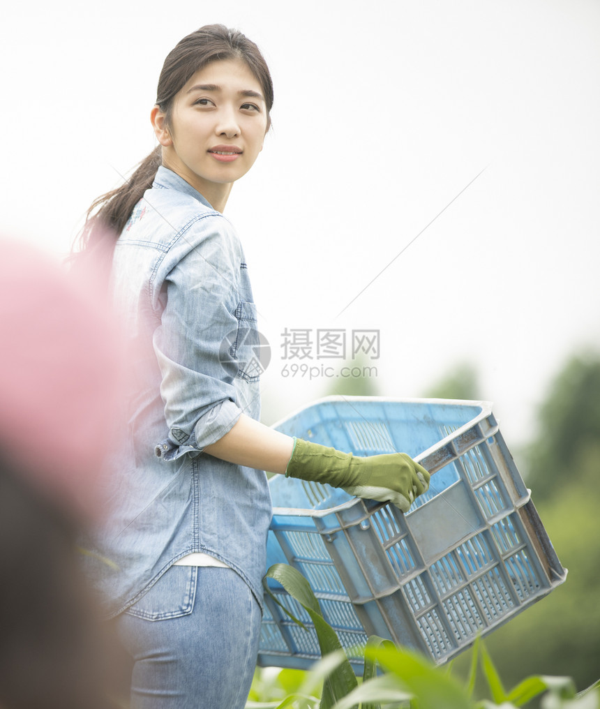 传递人物青年女农业图片