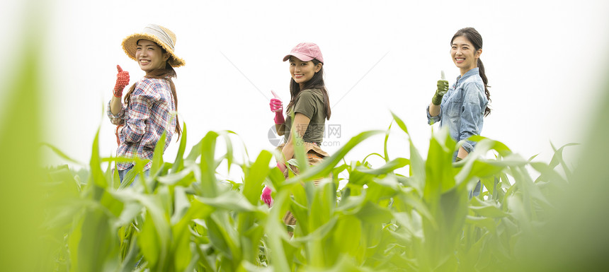 笑容生活同事女农业肖像图片
