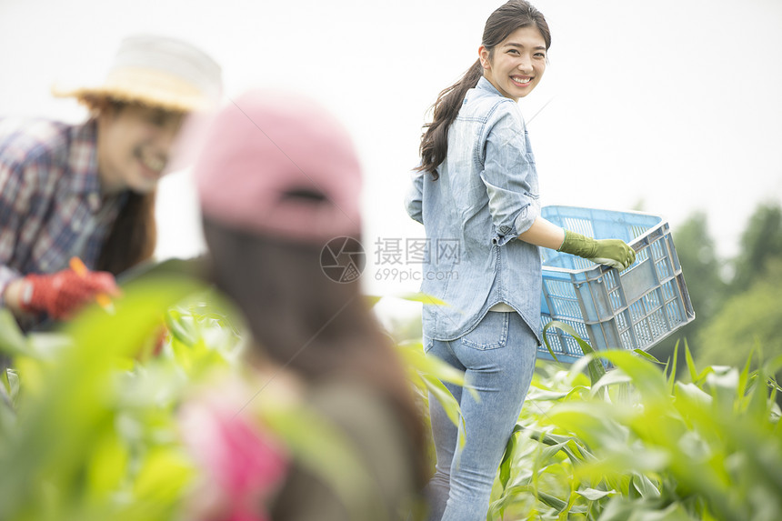 年轻女子女企业家菜地女农业伴侣图片