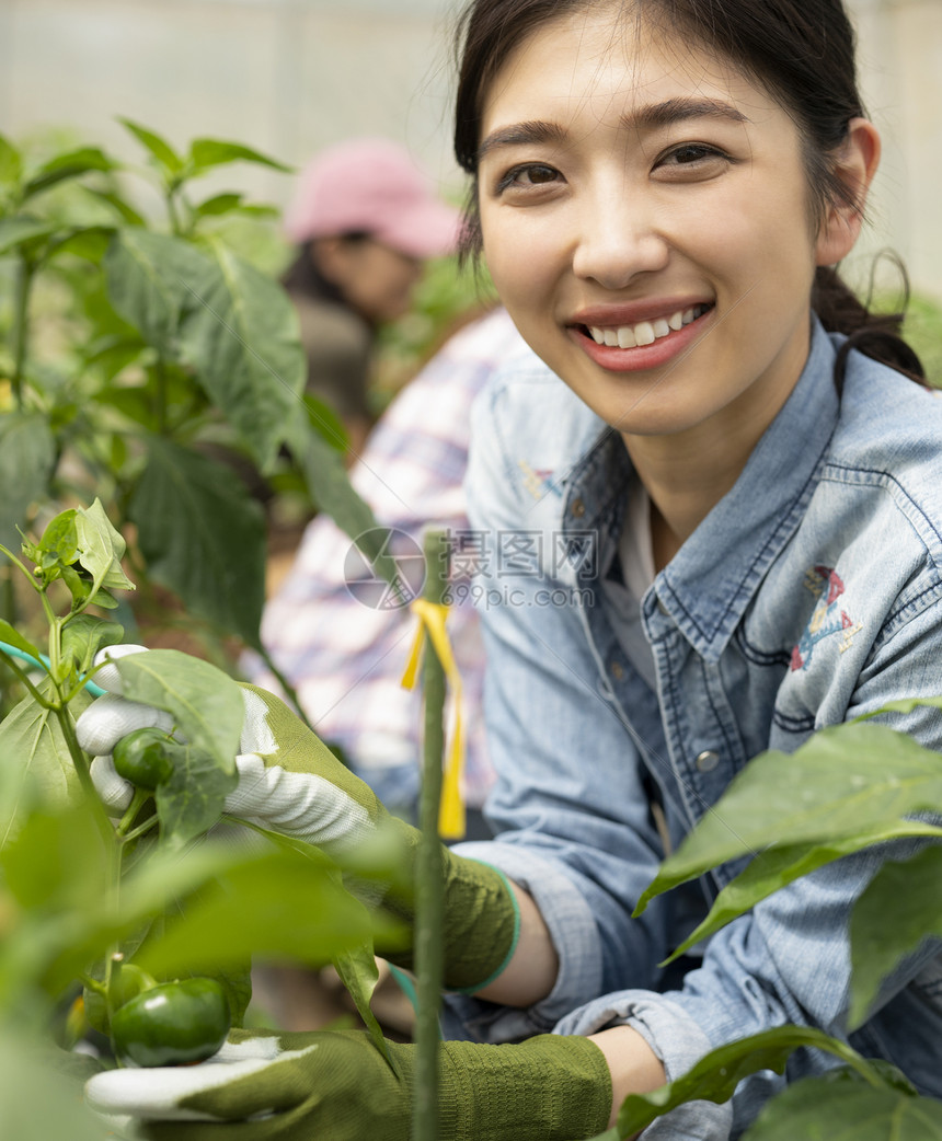 单人亚洲人菜地女农业图片