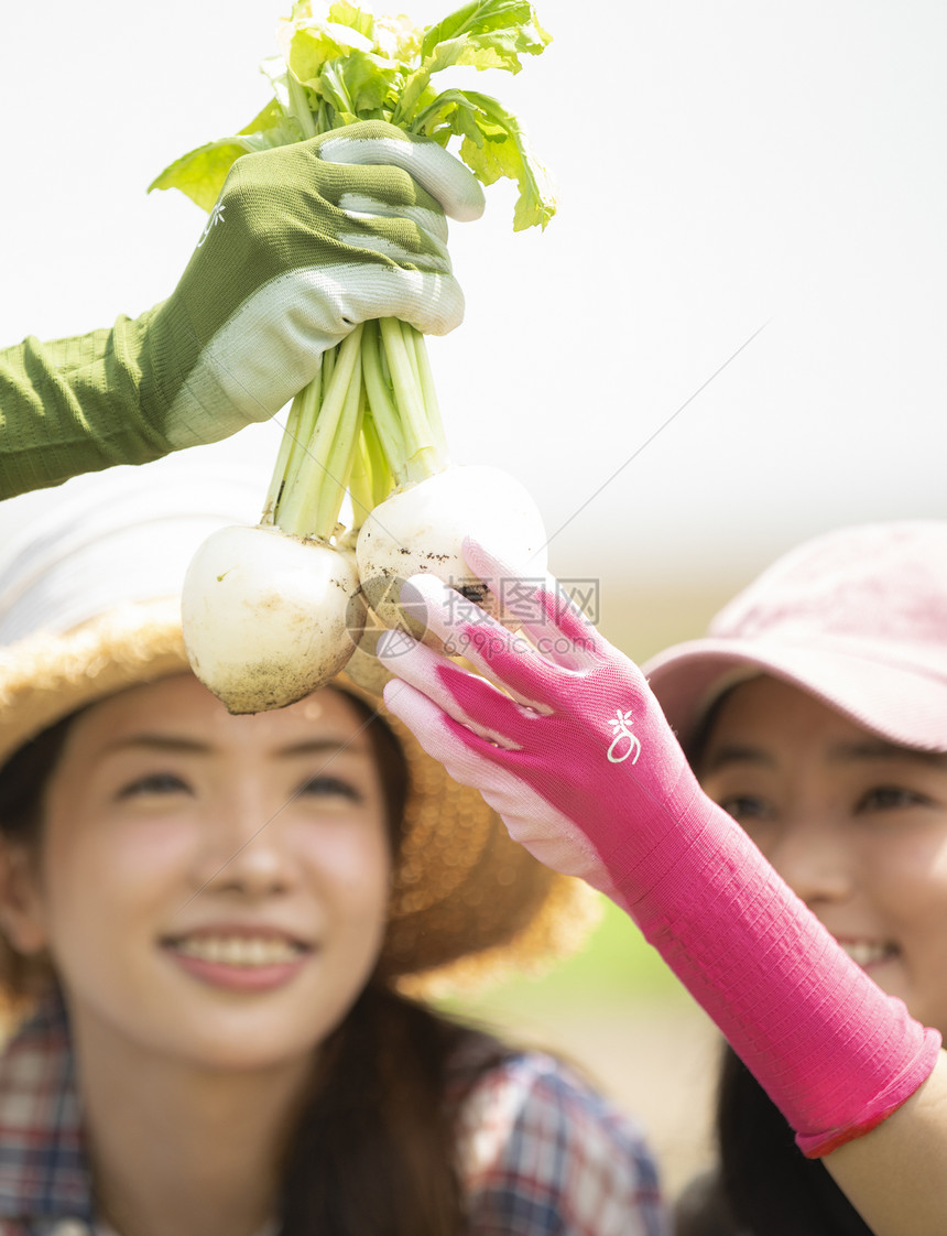 无杀虫剂女生商界女女农业伴侣图片