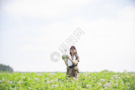 孤独的打工干净女农业无人机图片