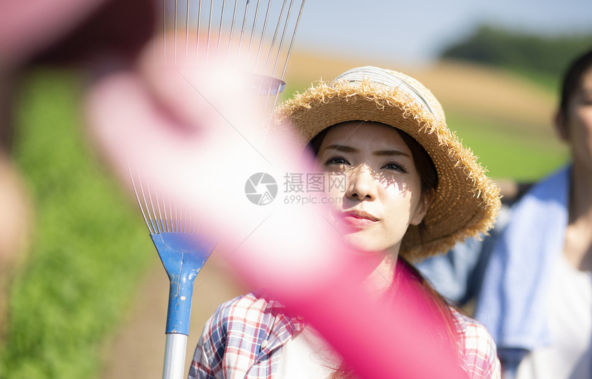 新鲜日本人户外女农业图片