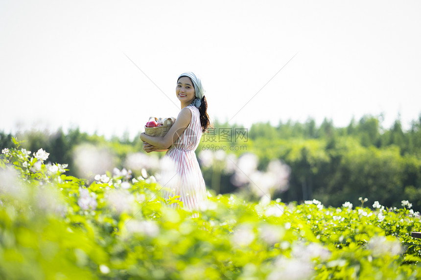 蔬菜通体笑脸农业经典图片