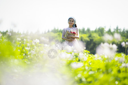 女踏青亚洲人农业经典图片