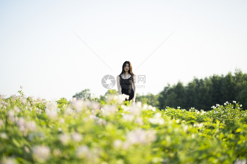 假期站立年轻女女自然肖像图片