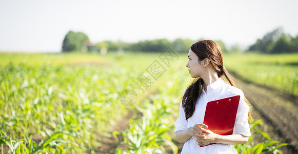 考官农业体验不再反对女农业业务图片