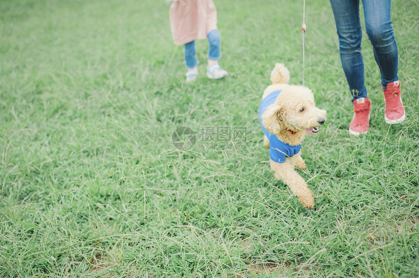 贵宾犬女儿好朋友狗和osanpo图像图片