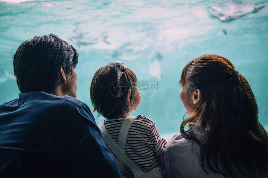 与孩子好朋友木乃伊水族馆家庭图片