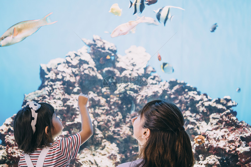 儿童快乐女士水族馆家庭图片