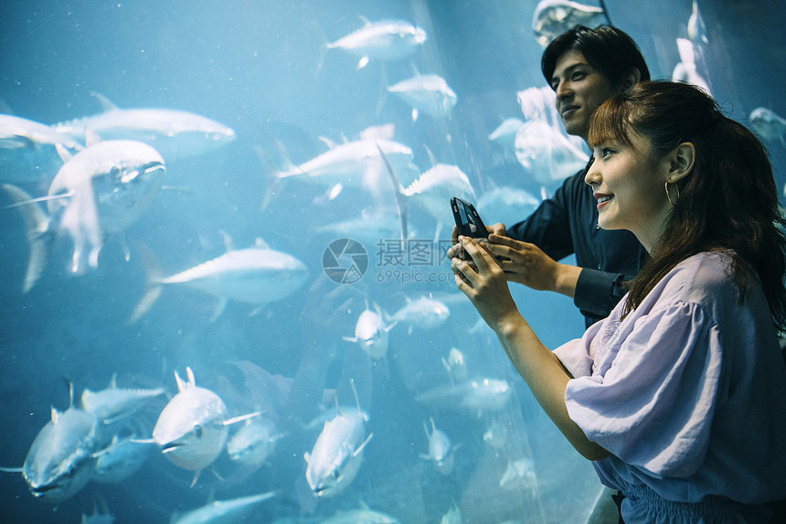 亚洲人欢快女士们水族馆夫妇图片